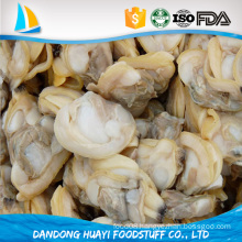 frozen baby clam meat export levels quality